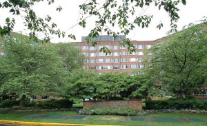 4000_Tunlaw_1006_pic