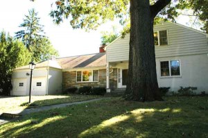 4208_Rosemary_front2