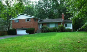 8516_BurningTree_front